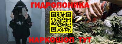 трава Балахна