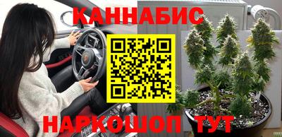 apvp Моздок