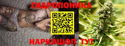 apvp Моздок
