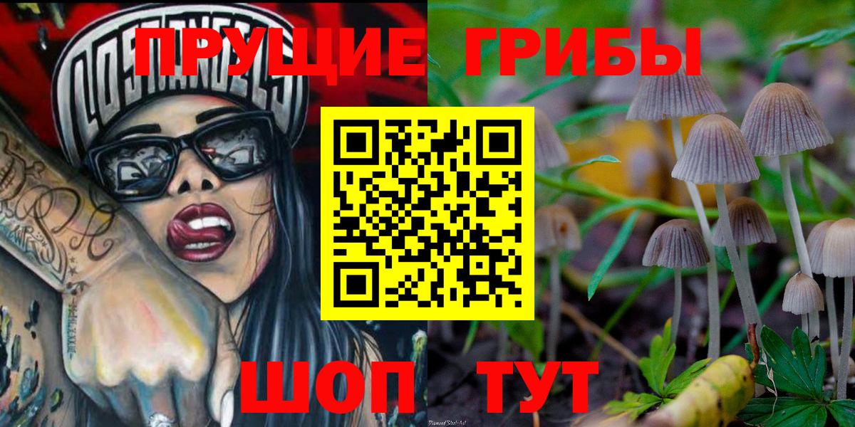 купить наркотик  Вязники  Галлюциногенные грибы Psilocybine cubensis 