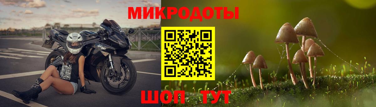 Вязники  Псилоцибиновые грибы Magic Shrooms  наркота  Галлюциногенные грибы Psilocybine cubensis  Вход с VPN 